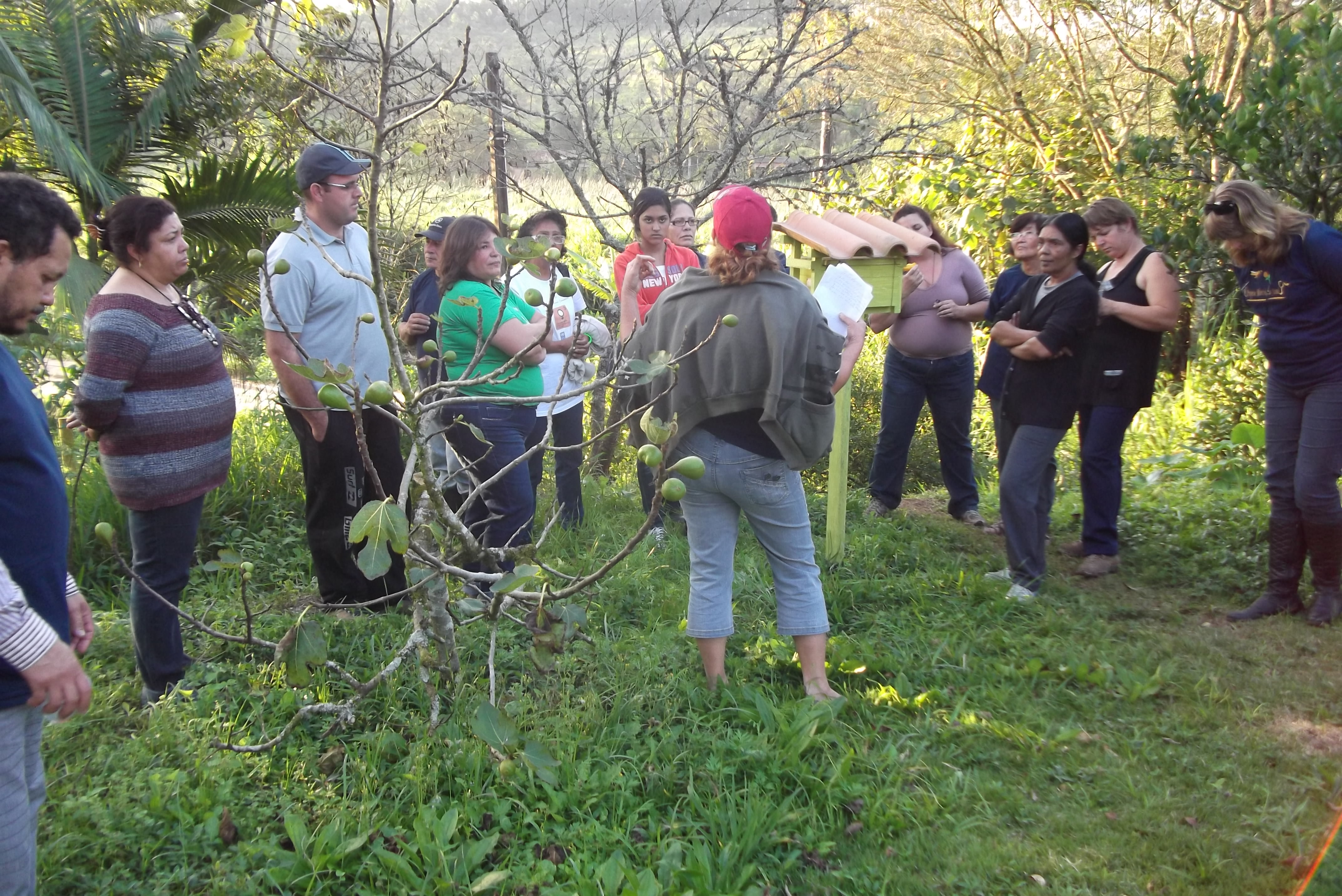 Oficina na propriedade D. Massue.jpg